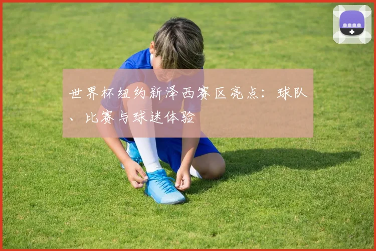 世界杯纽约新泽西赛区亮点：球队、比赛与球迷体验
