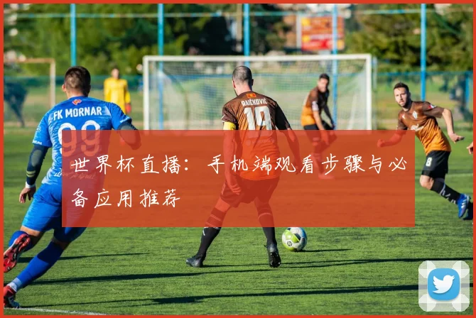 世界杯直播：手机端观看步骤与必备应用推荐