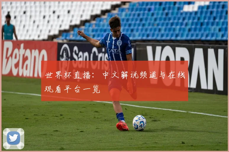 世界杯直播：中文解说频道与在线观看平台一览