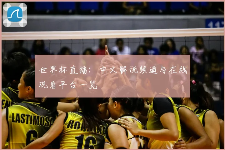 世界杯直播：中文解说频道与在线观看平台一览