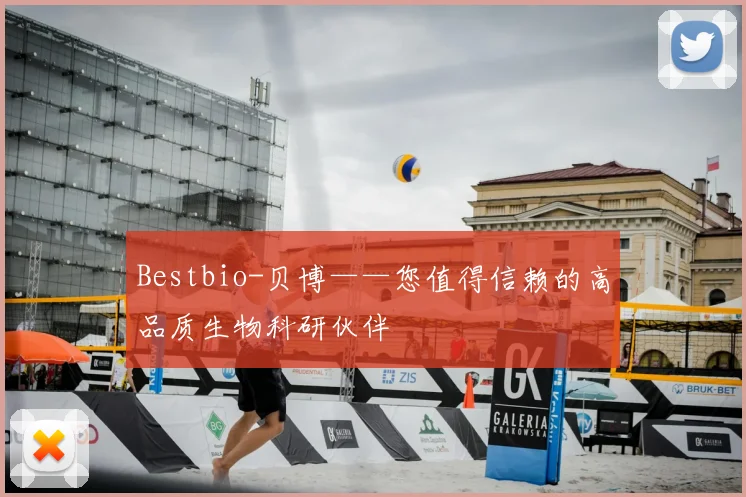 Bestbio-贝博——您值得信赖的高品质生物科研伙伴