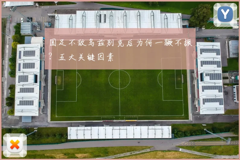 国足不敌乌兹别克后为何一蹶不振？五大关键因素