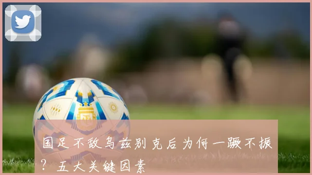 国足不敌乌兹别克后为何一蹶不振？五大关键因素